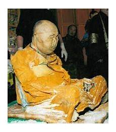 Copper Lama